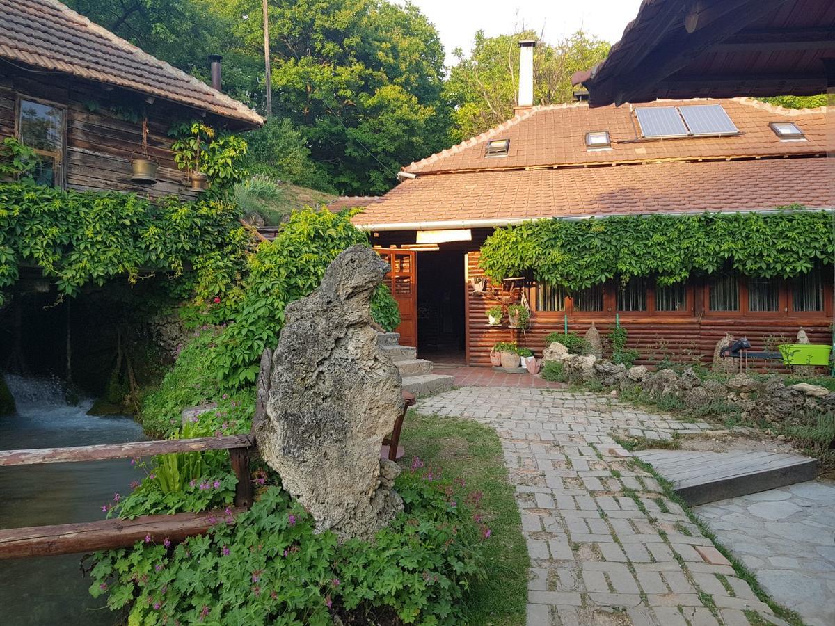 Guest House Lisinski Raj Despotovac Exterior photo